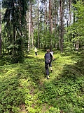 Den 2