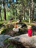 Den 7