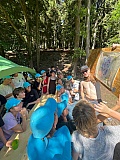 Den 7