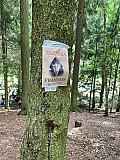 Den 1.