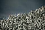18.1.2018