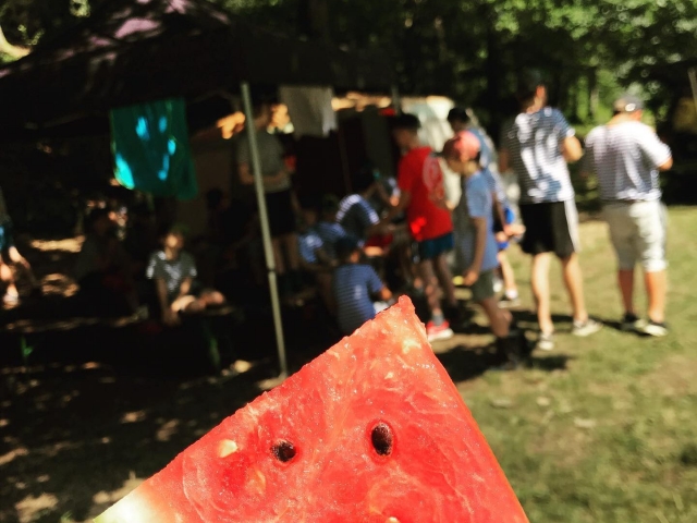 Ke sváče si hroši dnes dali meloun. Chutnalo jim?